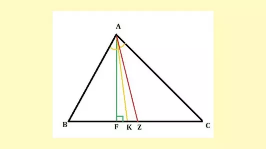 Где тут биссектриса: ответ забыли даже те, кто считал себя «Пифагором» в школе — а вы помните?