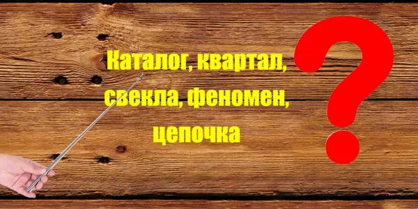 Тест: Расставьте ударения в словах, как в ЕГЭ по русскому языку — это нет так уж просто