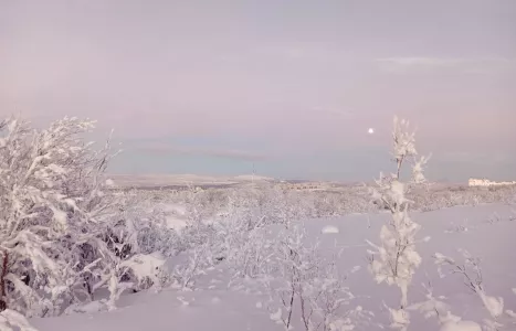 Прогноз погоды в Мурманской области на понедельник, 20 января