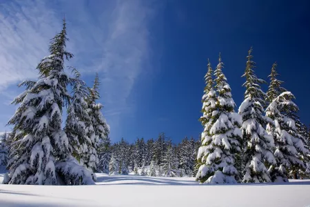 Прогноз погоды в Мурманской области на четверг, 30 января