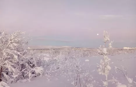 Погода в Заполярье сегодня будет облачной