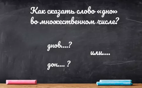 Вы — «Лев Толстой» не только на словах, если правильно скажете «дно» во множественном числе: ошибаются даже учителя русского языка