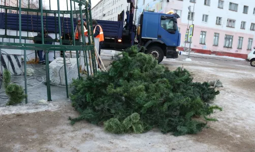 Новогоднюю елку начали демонтировать в Никеле