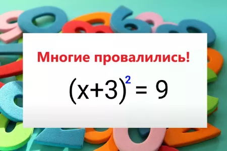 Решите школьное уравнение — чему равен Х? От правильного ответа выпадают в осадок даже «Архимеды»