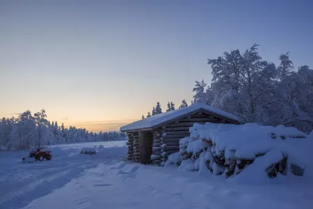 19 февраля — Вукол Телятник: почему в этот день нельзя прогонять кошку и рассказывать сны — приметы и традиции праздника