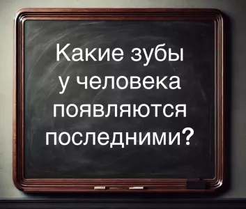 Хитрая загадка про «последние зубы» вызывает недоумение у взрослых, а детвора решает в два счета: попробуйте не опозориться с простой задачкой