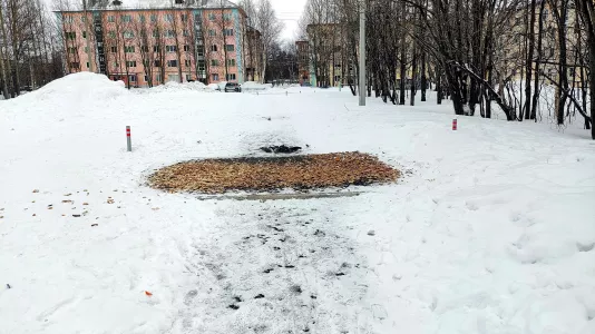 Во дворе дома в Мончегорске обнаружили свалку хлеба