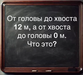 Задачка для самых умных: попробуйте разгадать загадку про «невиданного зверя» за 40 секунд — простой ответ вас удивит, будете смеяться