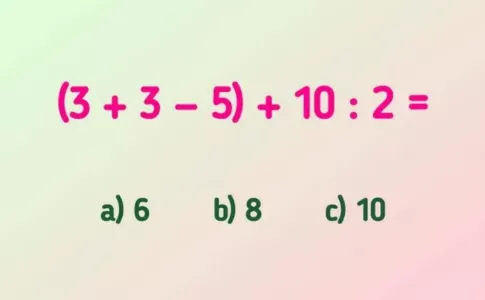 Заткните за пояс школьников, решив пример «(3+3−5)+10:2» — истинный наследник Эйнштейна выдаст ответ уже за 7 секунд, а вы?