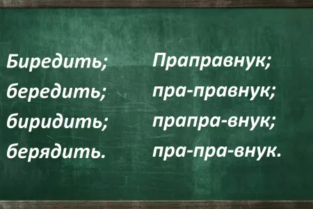 Незнание русского языка всплывет наружу: правильные слова сразу увидят лишь гении орфографии — проверьте свою грамотность