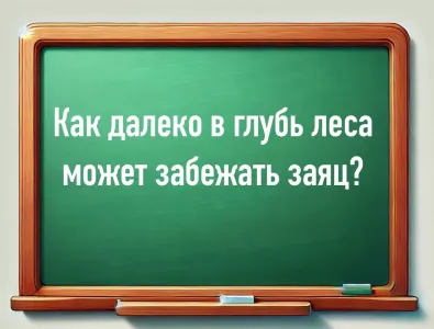 Сложная загадка для «королей логики»: как далеко в глубь леса может забежать заяц? А волк? Школьники решают, их родители позорятся — проверьте себя