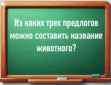 Филологи ломают голову: какие три предлога можно «превратить» в животное? Отличники выдают ответ за 50 секунд, взрослые стыдливо молчат