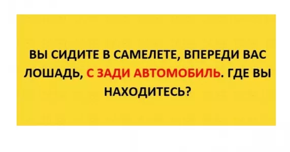 Загадка для «самых умных»: Вы сидите в самолете, сзади вас автомобиль, впереди лошадь. Где вы находитесь? — на решение 15 секунд