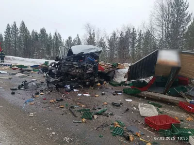 В аварии на трассе Оленегорск — Ловозеро погиб человек