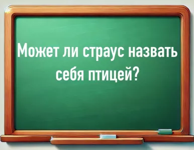 Может ли страус назвать себя птицей? Сложное задание под силу людям с IQ выше 170 — проверьте себя