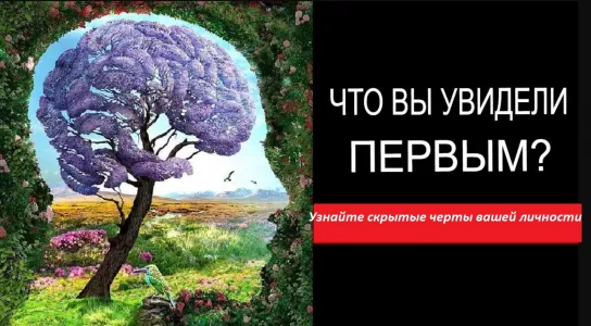 Тест личности, проникающий в чертоги сознания: то, что что вы увидели первым на картинке, выдаст неизведанные черты характера