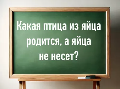 Птицеводы, ваш выход: какая птица из яйца родится, а яйца не несет? На сложную задачу дается 10 секунд, решайте