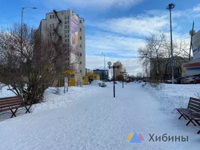 Жители Мурманской области стали чаще жаловаться на уборку снега и работу УК