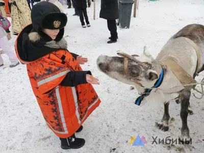 Музей «Олений двор» в Мурманской области вошёл в число 30 самых оригинальных музеев России