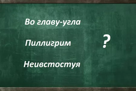 Высокий IQ здесь бессилен: тест на грамотность для уникумов — лишь гении орфографии исправят ошибки в словах