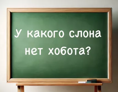 Школьники «пулей» выдают ответ, а взрослые в недоумении: у какого слона нет хобота?