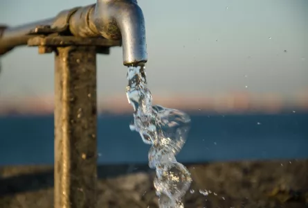 Никаких гадалок и приборов не нужно: найти воду на участке для скважины поможет бутылка — метод наших прадедов