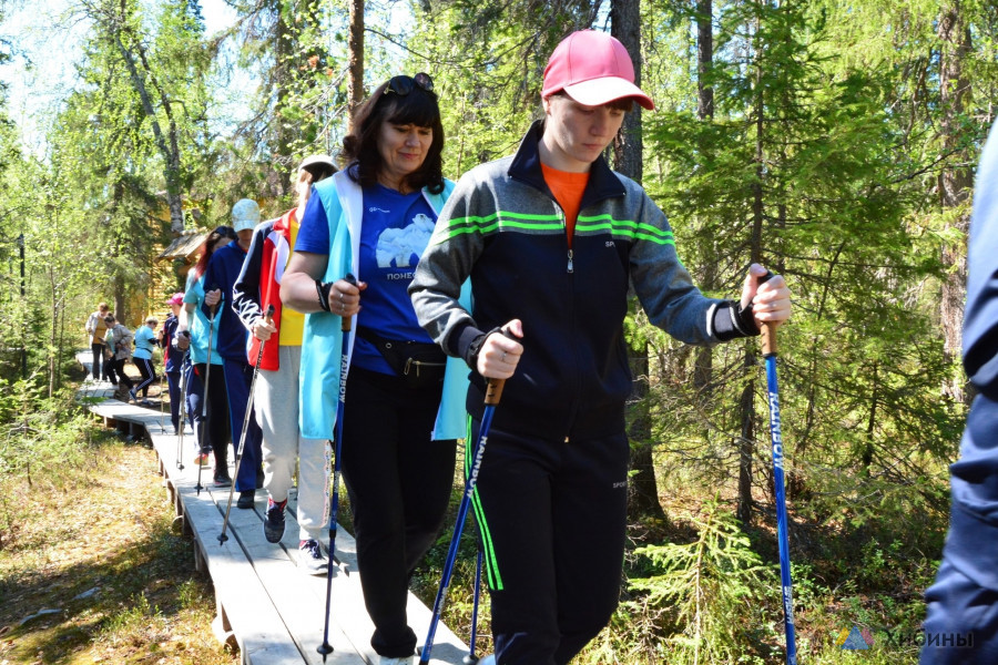 Выездная тренировка «Северная ходьба» в Лапландском заповеднике